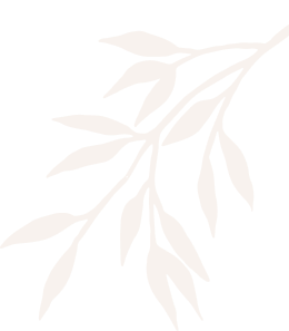 Turning heads Hair salon and spa