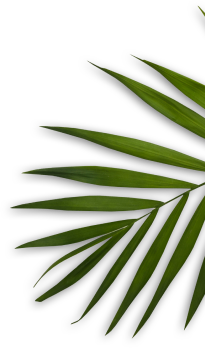 Turning heads Hair salon and spa